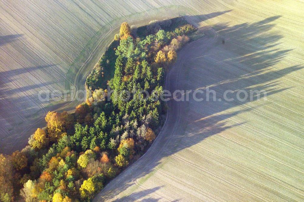 Aerial image Bad Salzungen - ; Blick auf Herbstlandschaft in der Nähe von Bad Salzungen.