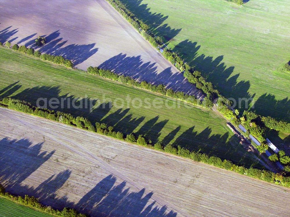 Preetz from the bird's eye view: 18.10.2005 Preetz; Herbstliche Landschaft bei Preetz in Mecklenurg-Vorpommern.