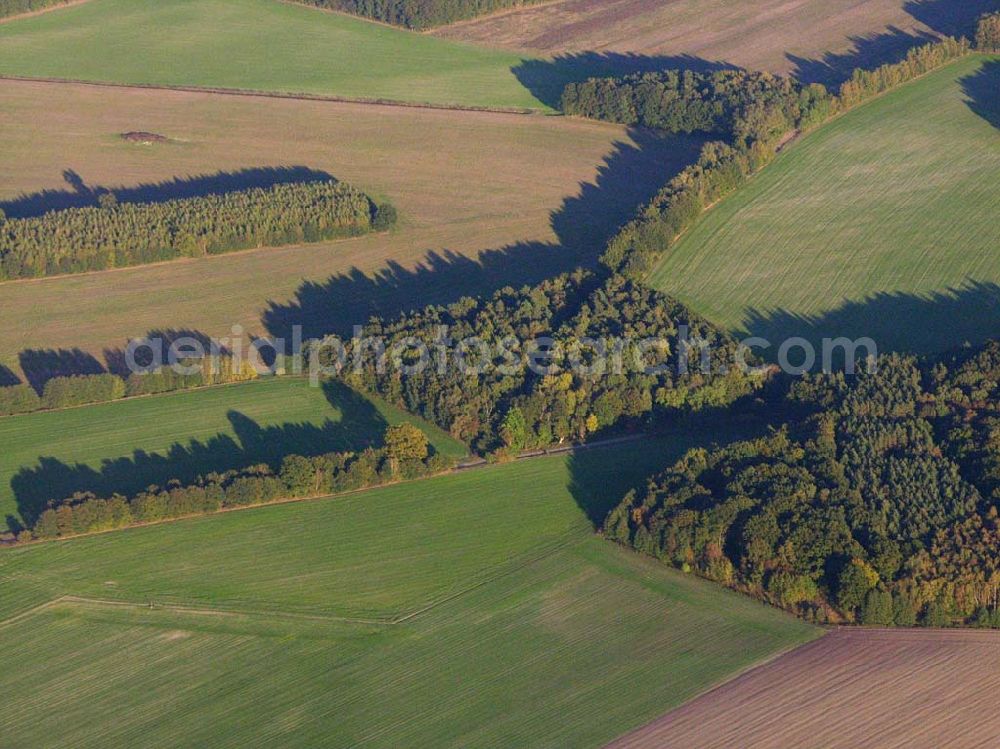 Preetz from the bird's eye view: 18.10.2005 Preetz; Herbstliche Landschaft bei Preetz in Mecklenurg-Vorpommern.