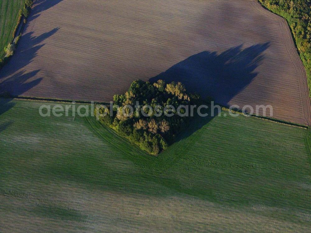 Preetz from above - 18.10.2005 Preetz; Herbstliche Landschaft bei Preetz in Mecklenurg-Vorpommern.