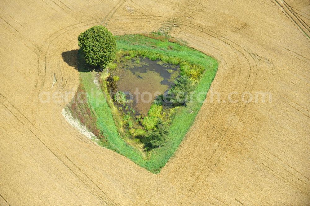 Mönchgrün from the bird's eye view: Herbstlandschaft abgeernteter Felder mit einem Tümpel und Baumbewuchs als Insel. Autumn landscape of a field.