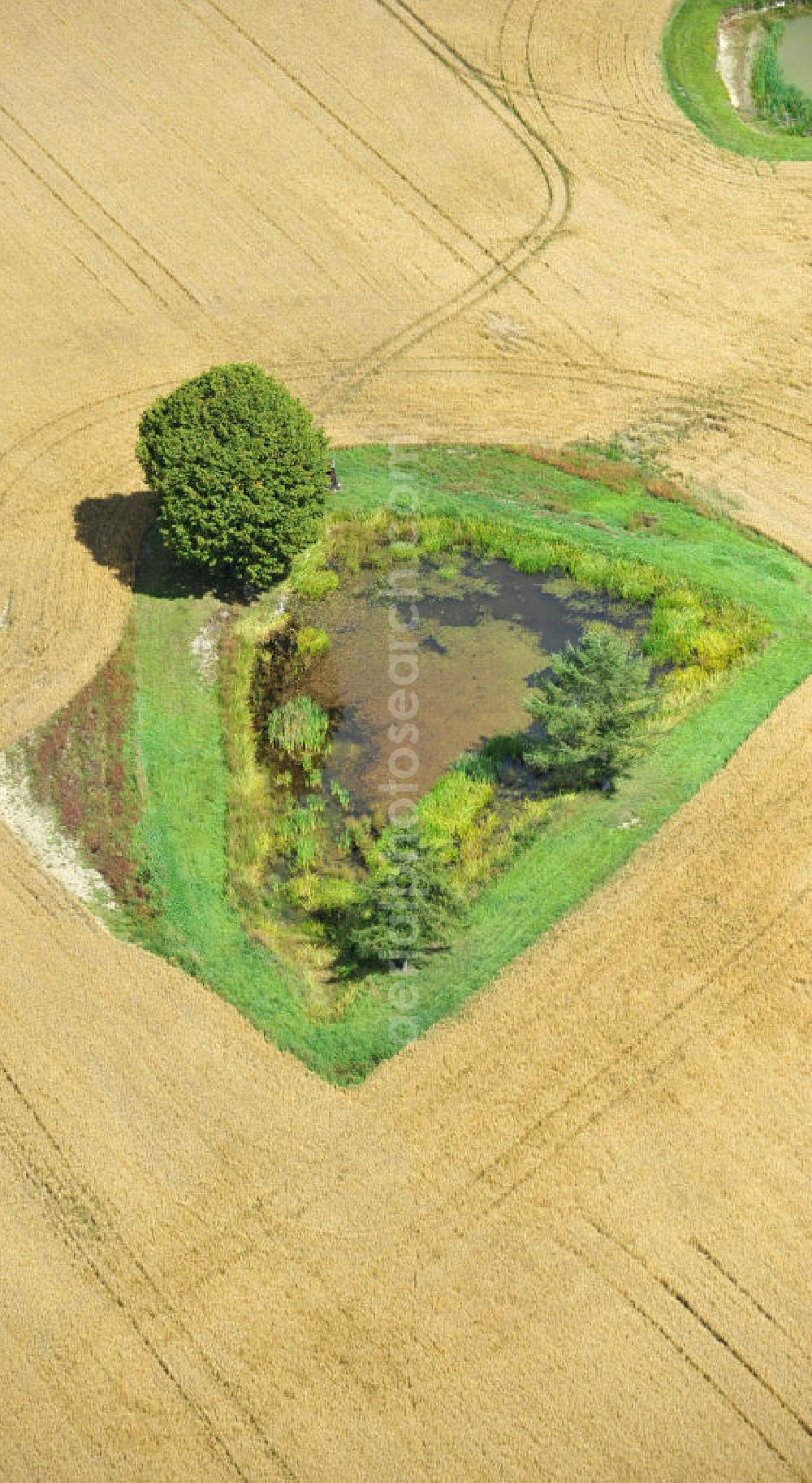 Aerial image Mönchgrün - Herbstlandschaft abgeernteter Felder mit einem Tümpel und Baumbewuchs als Insel. Autumn landscape of a field.