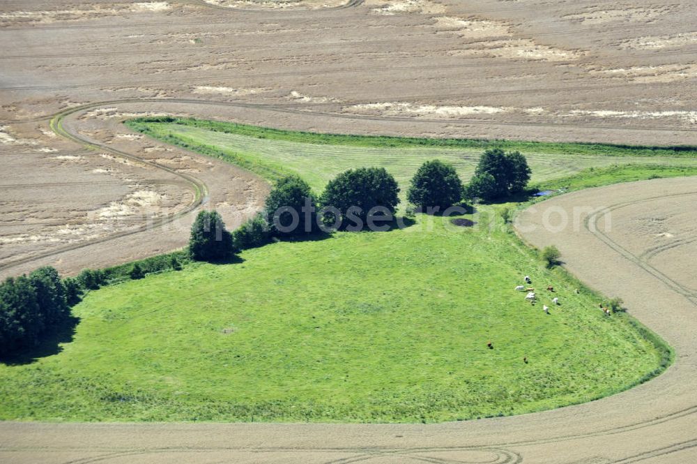 Aerial image Blankenhagen - Herbstlandschaft / Felder in der Nähe von Blankenhagen. Autumn landscape in the near of the city Blankenhagen.