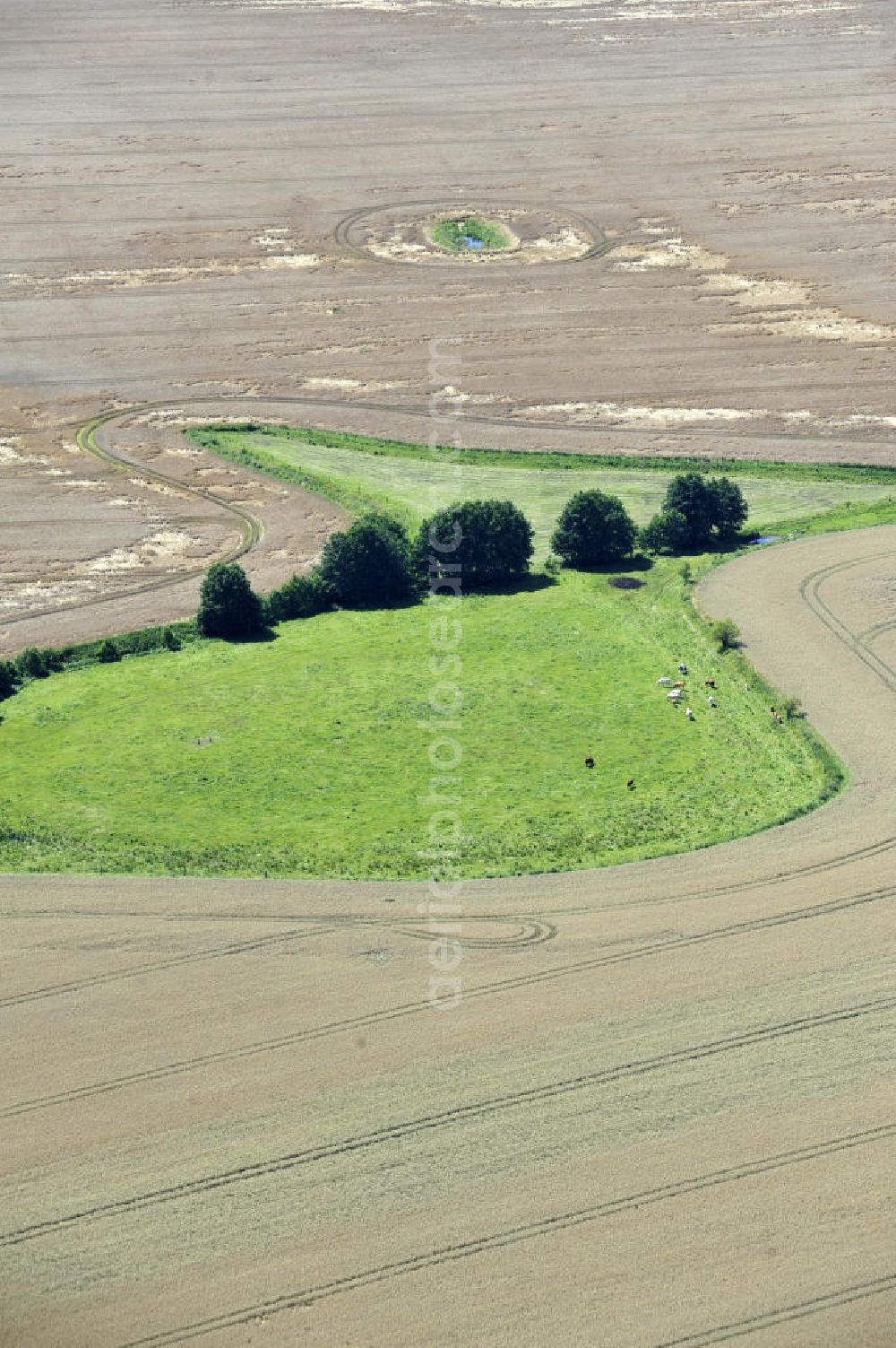 Aerial photograph Blankenhagen - Herbstlandschaft / Felder in der Nähe von Blankenhagen. Autumn landscape in the near of the city Blankenhagen.