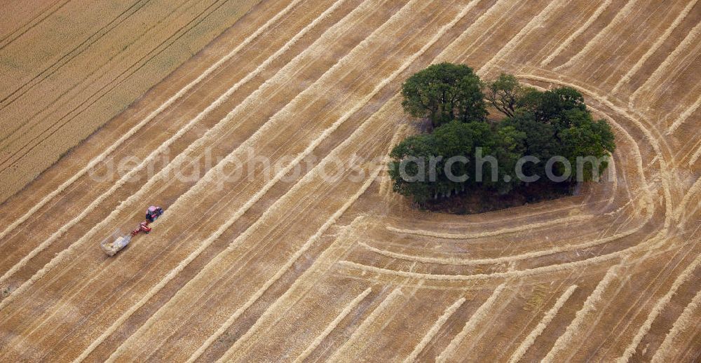 Drensteinfurt from above - Herbstlandschaft von einem abgeerntetem Feld mit Baumbewuchs als Insel bei Drensteinfurt in Nordrhein-Westfalen. Autumn landscape of a field with tree growth as an isle near the town Drensteinfurt in the state North Rhine-Westphalia.