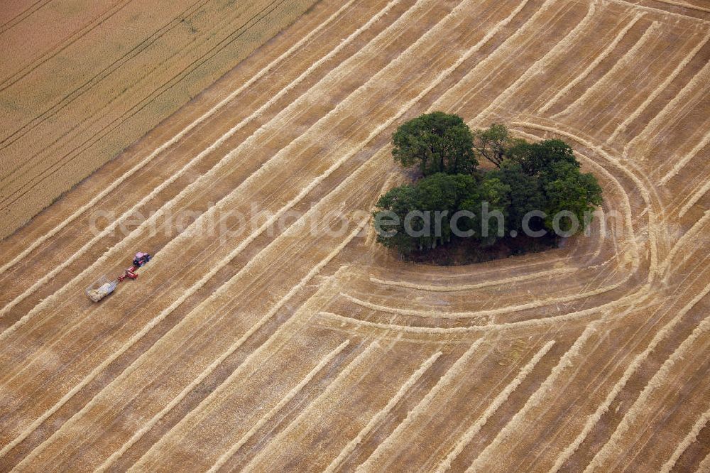 Drensteinfurt from the bird's eye view: Herbstlandschaft von einem abgeerntetem Feld mit Baumbewuchs als Insel bei Drensteinfurt in Nordrhein-Westfalen. Autumn landscape of a field with tree growth as an isle near the town Drensteinfurt in the state North Rhine-Westphalia.