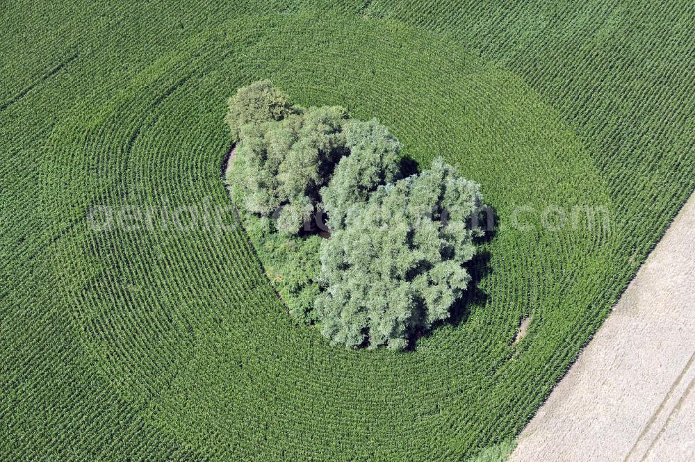 Groß Lunow from above - Herbstlandschaft abgeernteter Felder mit Baumbewuchs als Insel in Mecklenburg-Vorpommern. Autumn landscape of a field with tree growth as an Isle in the state Mecklenburg-Western Pomerania.