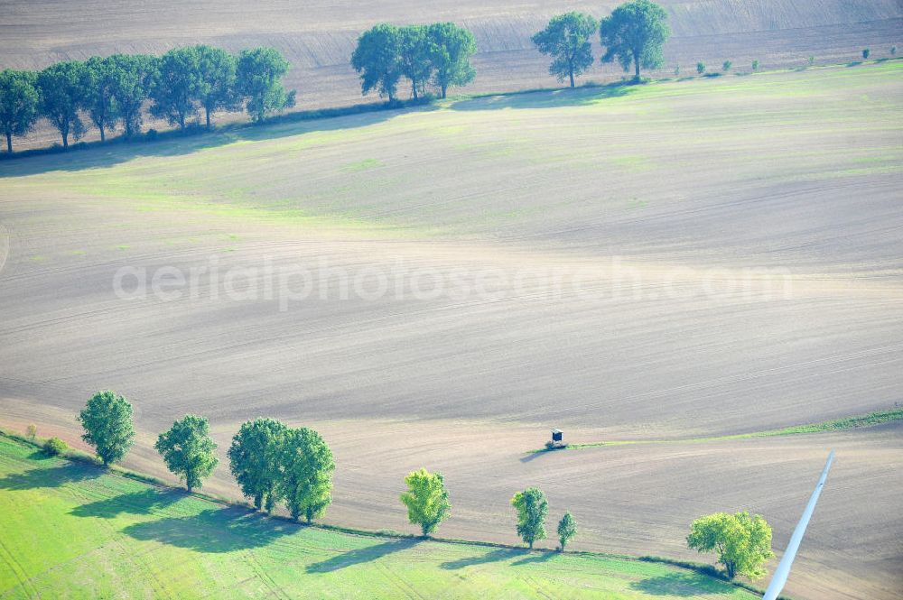 Mannsfeld from the bird's eye view: Herbstlandschaft über Feldlandschaften bei Mansfeld in Sachsen-Anhalt. Autumnal landscape of fields at Mansfeld in Saxony-Anhalt.