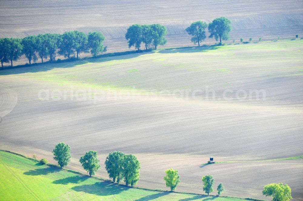 Aerial photograph Mannsfeld - Herbstlandschaft über Feldlandschaften bei Mansfeld in Sachsen-Anhalt. Autumnal landscape of fields at Mansfeld in Saxony-Anhalt.