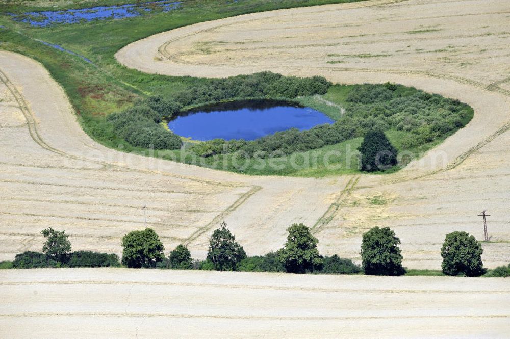 Dalwitz from the bird's eye view: Herbstlandschaft mit Baumreihe und einem Feld mit Teich umrundet von einer grünen Insel in der Nähe von Dalwitz, Mecklenburg-Vorpommern. Autumn landscape with line of trees and a field with a pond surrounded by a green Isle close to Dalwitz, Mecklenburg-Western Pomerania.