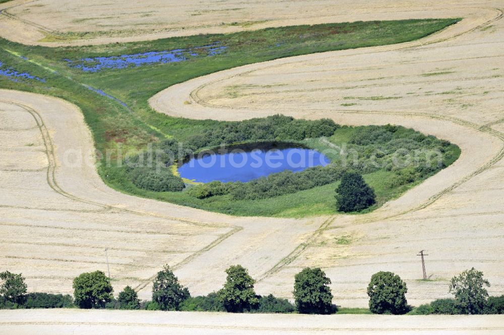 Aerial image Dalwitz - Herbstlandschaft mit Baumreihe und einem Feld mit Teich umrundet von einer grünen Insel in der Nähe von Dalwitz, Mecklenburg-Vorpommern. Autumn landscape with line of trees and a field with a pond surrounded by a green Isle close to Dalwitz, Mecklenburg-Western Pomerania.