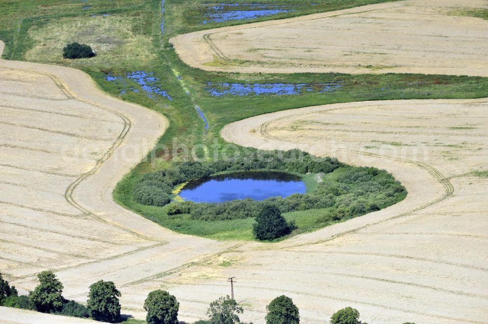 Aerial photograph Dalwitz - Herbstlandschaft mit Baumreihe und einem Feld mit Teich umrundet von einer grünen Insel in der Nähe von Dalwitz, Mecklenburg-Vorpommern. Autumn landscape with line of trees and a field with a pond surrounded by a green Isle close to Dalwitz, Mecklenburg-Western Pomerania.