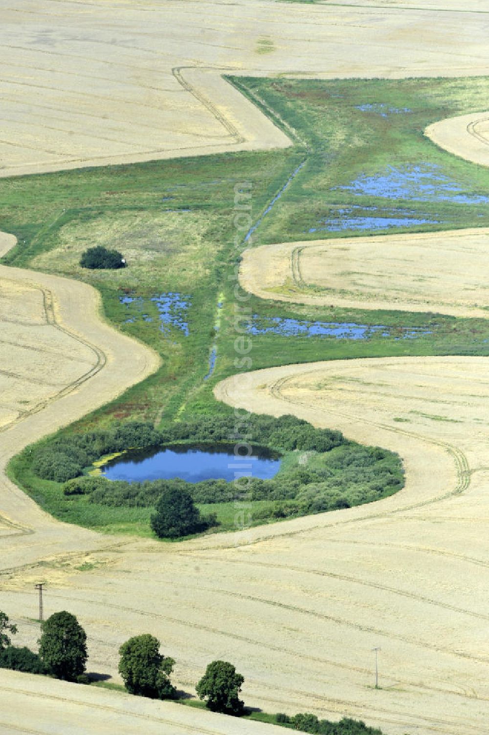 Dalwitz from above - Herbstlandschaft mit Baumreihe und einem Feld mit Teich umrundet von einer grünen Insel in der Nähe von Dalwitz, Mecklenburg-Vorpommern. Autumn landscape with line of trees and a field with a pond surrounded by a green Isle close to Dalwitz, Mecklenburg-Western Pomerania.