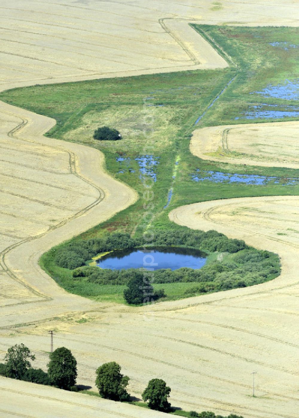 Dalwitz from the bird's eye view: Herbstlandschaft mit Baumreihe und einem Feld mit Teich umrundet von einer grünen Insel in der Nähe von Dalwitz, Mecklenburg-Vorpommern. Autumn landscape with line of trees and a field with a pond surrounded by a green Isle close to Dalwitz, Mecklenburg-Western Pomerania.