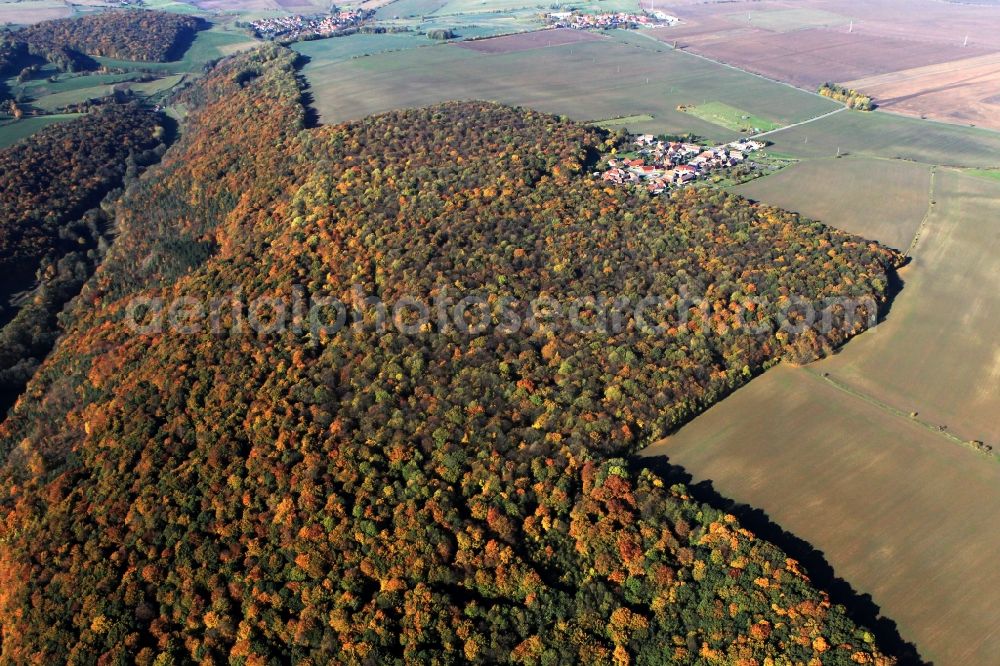 Hainichen from above - Autumn landscape with mixed forest on the outskirts of Hainichen in Thuringia