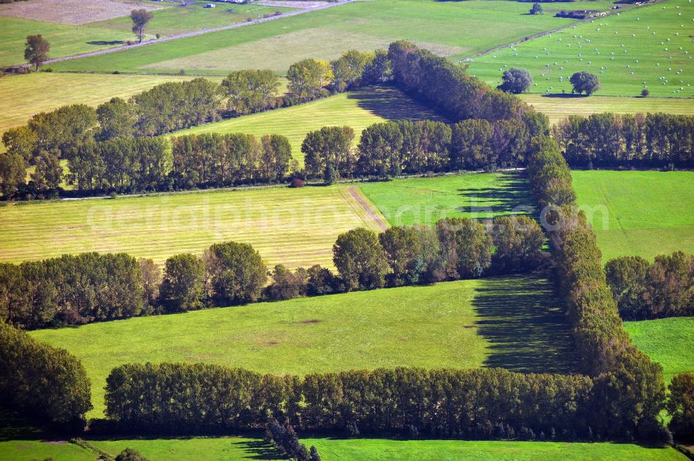 Aerial photograph Neuruppin - Herbstlandschaft mit von Bäumen eingezäunte landwirtschaftliche Nutzflächen in der Ostpriegnitz, bei Neuruppin in Brandenburg. Autumn landscape near Neuruppin in Ostpriegnitz, Brandenburg. You can see fields surrounded by trees.