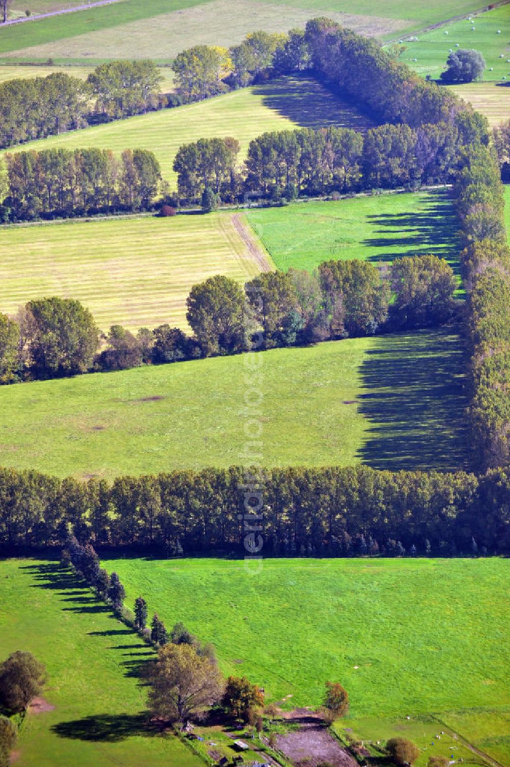 Neuruppin from above - Herbstlandschaft mit von Bäumen eingezäunte landwirtschaftliche Nutzflächen in der Ostpriegnitz, bei Neuruppin in Brandenburg. Autumn landscape near Neuruppin in Ostpriegnitz, Brandenburg. You can see fields surrounded by trees.