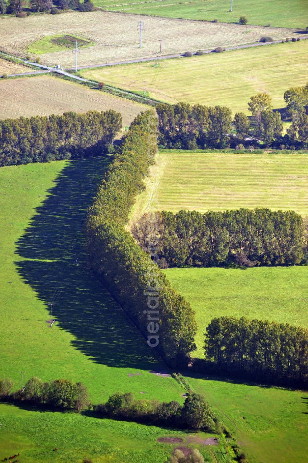 Neuruppin from the bird's eye view: Herbstlandschaft mit von Bäumen eingezäunte landwirtschaftliche Nutzflächen in der Ostpriegnitz, bei Neuruppin in Brandenburg. Autumn landscape near Neuruppin in Ostpriegnitz, Brandenburg. You can see fields surrounded by trees.