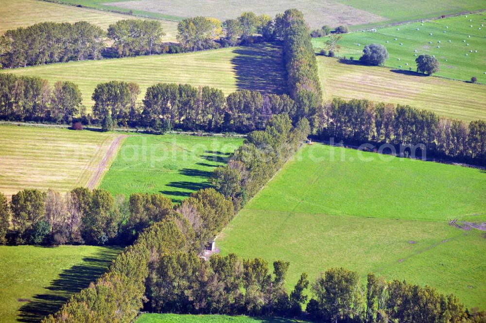 Aerial image Neuruppin - Herbstlandschaft mit von Bäumen eingezäunte landwirtschaftliche Nutzflächen in der Ostpriegnitz, bei Neuruppin in Brandenburg. Autumn landscape near Neuruppin in Ostpriegnitz, Brandenburg. You can see fields surrounded by trees.