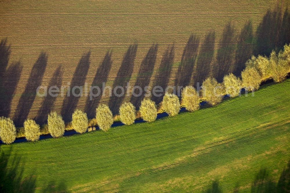 Aerial photograph Duisburg - A row of trees at the stream Alter Anger- Bach casts a long shadow on to a field at Am Grünen Feld in Duisburg - Huckingen in the state North Rhine-Westphalia. The autumn foliage of the trees has turned golden providing an autumnal landscape