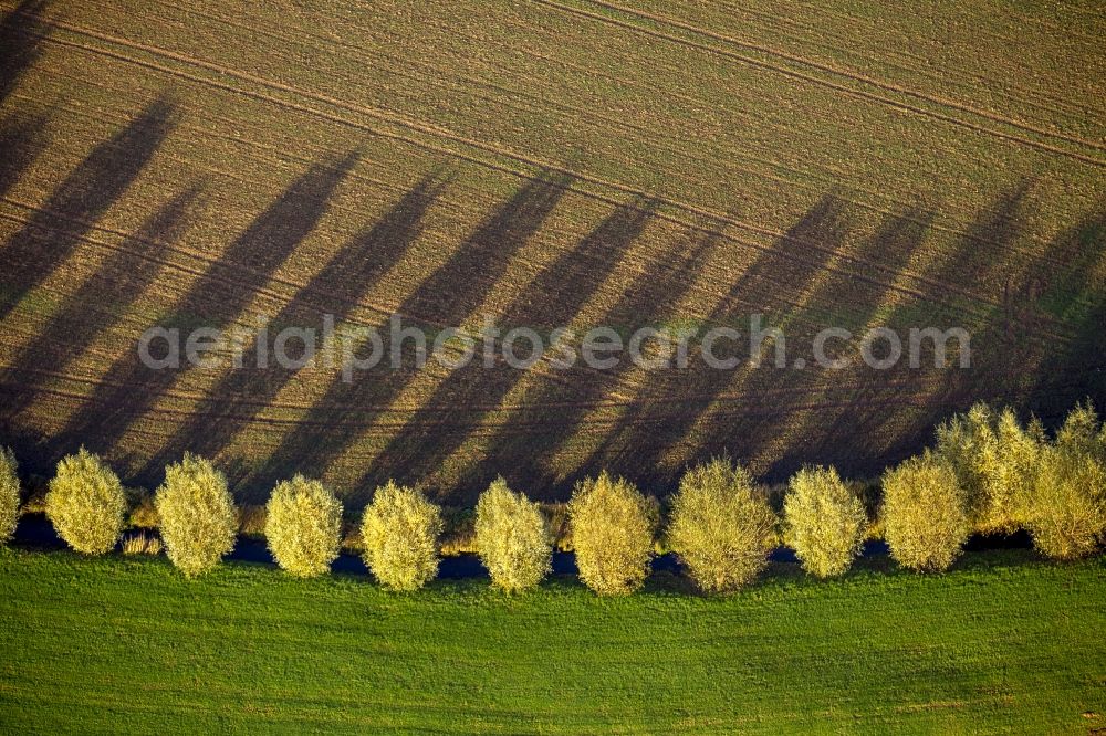 Duisburg from above - A row of trees at the stream Alter Anger- Bach casts a long shadow on to a field at Am Grünen Feld in Duisburg - Huckingen in the state North Rhine-Westphalia. The autumn foliage of the trees has turned golden providing an autumnal landscape