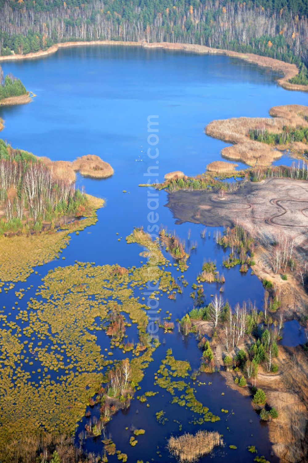 Aerial image Schönborn OT Eichwald - Herbstlandschaft mit See / Waldsee bei Eichwald. Autumn landscape with forest lake close by Eichwald.