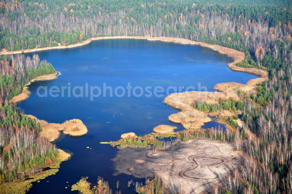 Aerial photograph Schönborn OT Eichwald - Herbstlandschaft mit See / Waldsee bei Eichwald. Autumn landscape with forest lake close by Eichwald.