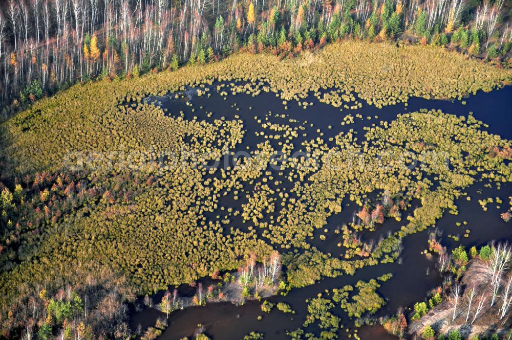 Schönborn OT Eichwald from above - Herbstlandschaft mit See / Waldsee bei Eichwald. Autumn landscape with forest lake close by Eichwald.