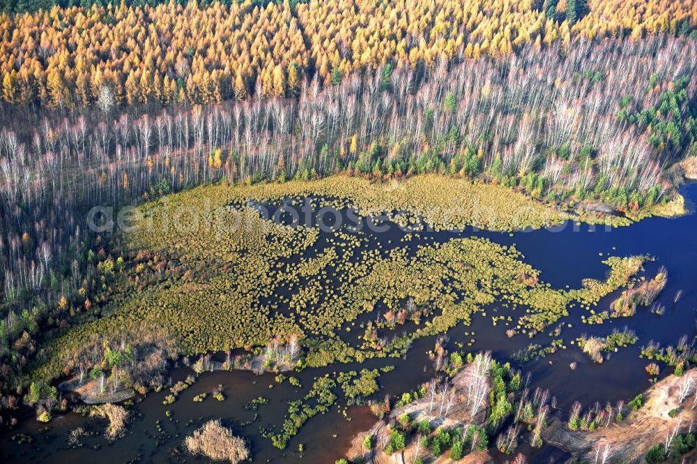 Schönborn OT Eichwald from the bird's eye view: Herbstlandschaft mit See / Waldsee bei Eichwald. Autumn landscape with forest lake close by Eichwald.