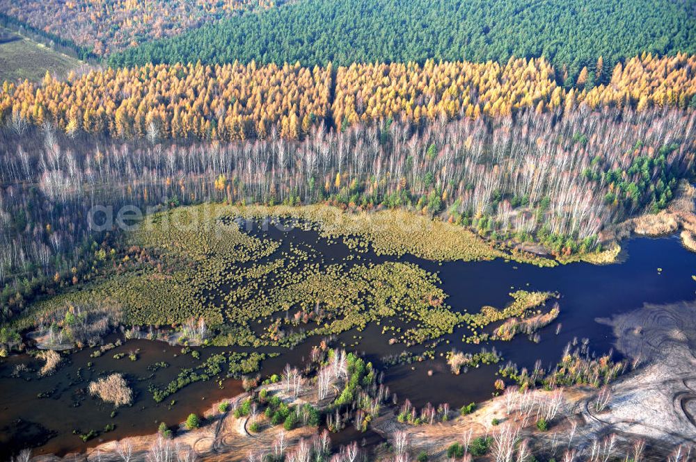 Aerial image Schönborn OT Eichwald - Herbstlandschaft mit See / Waldsee bei Eichwald. Autumn landscape with forest lake close by Eichwald.