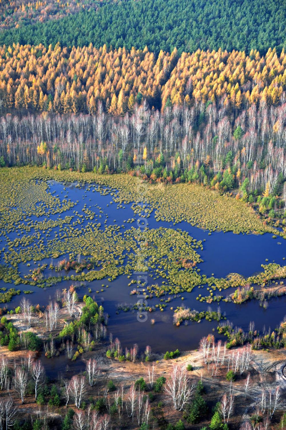 Aerial photograph Schönborn OT Eichwald - Herbstlandschaft mit See / Waldsee bei Eichwald. Autumn landscape with forest lake close by Eichwald.