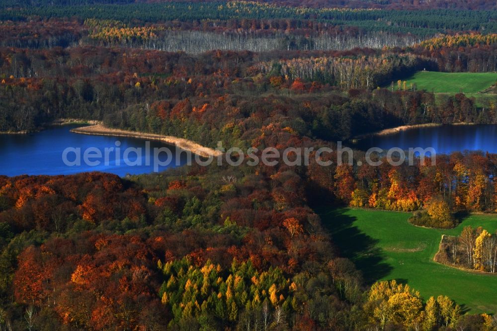 Friedrichswalde from the bird's eye view: Autumn landscape on the banks of the Great and Little Praessnicksee at Friedrichswalde in Brandenburg