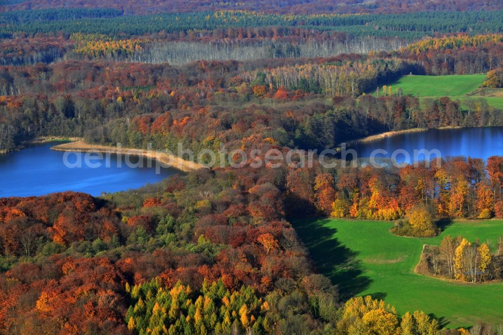 Aerial image Friedrichswalde - Autumn landscape on the banks of the Great and Little Praessnicksee at Friedrichswalde in Brandenburg