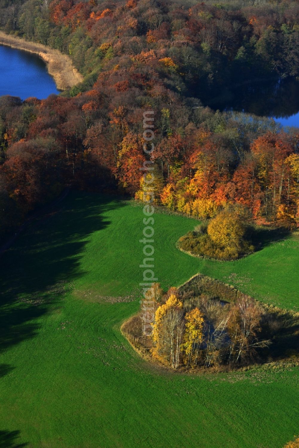 Friedrichswalde from above - Autumn landscape on the banks of the Great and Little Praessnicksee at Friedrichswalde in Brandenburg