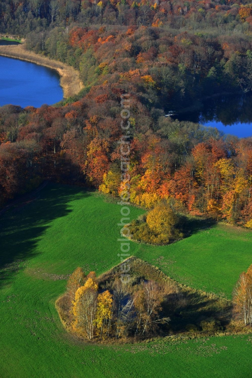 Friedrichswalde from the bird's eye view: Autumn landscape on the banks of the Great and Little Praessnicksee at Friedrichswalde in Brandenburg