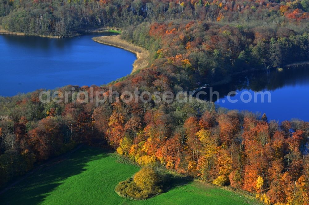 Aerial photograph Friedrichswalde - Autumn landscape on the banks of the Great and Little Praessnicksee at Friedrichswalde in Brandenburg