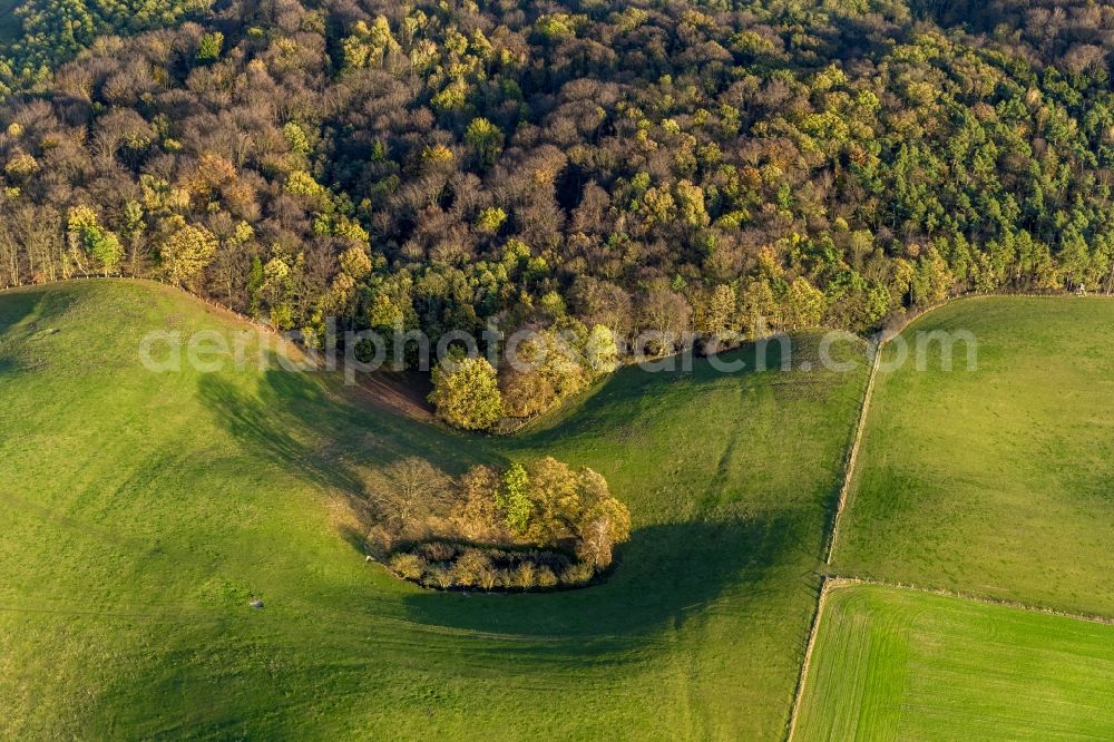 Aerial photograph Prillwitz - Autumn landscape with meadows and fields at Prillwitz in Mecklenburg-Western Pomerania