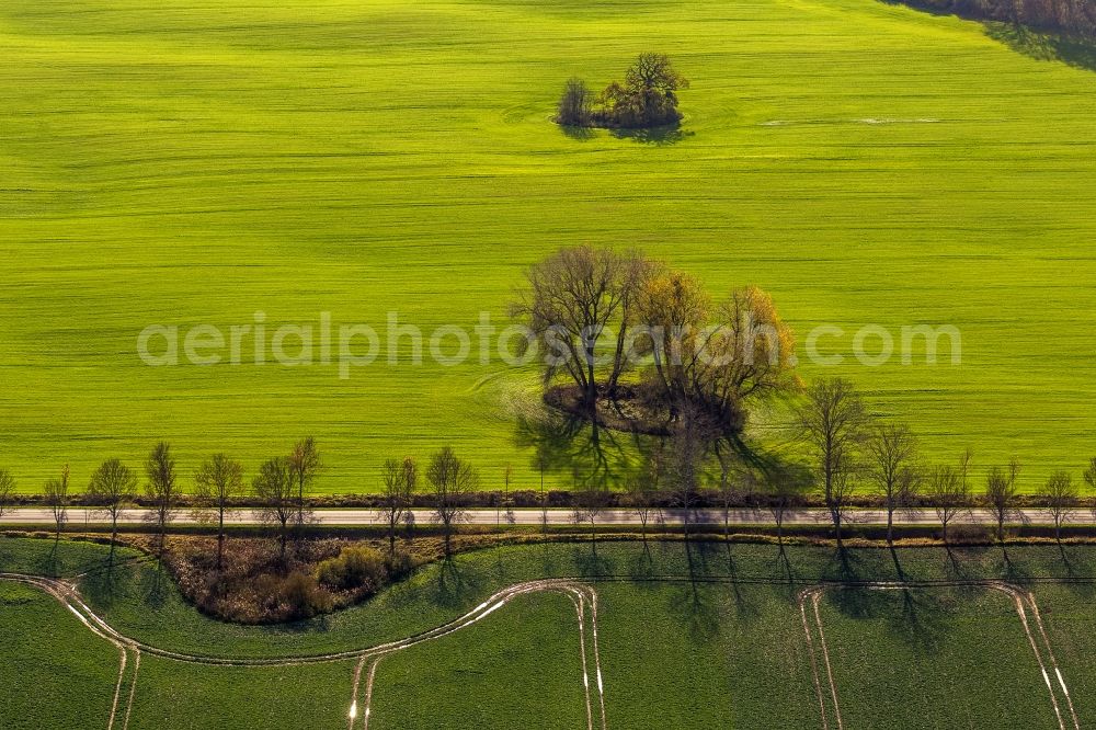 Aerial photograph Penzlin OT Marihn - Autumn landscape with meadows and fields in the district Marihn in Penzlin in Mecklenburg-Western Pomerania