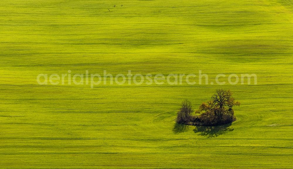 Penzlin OT Marihn from the bird's eye view: Autumn landscape with meadows and fields in the district Marihn in Penzlin in Mecklenburg-Western Pomerania