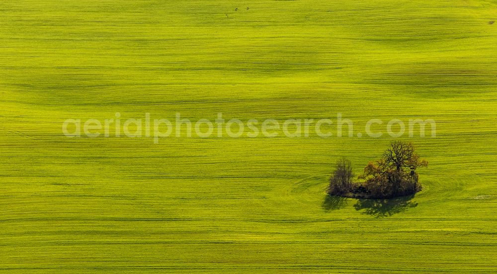 Aerial image Penzlin OT Marihn - Autumn landscape with meadows and fields in the district Marihn in Penzlin in Mecklenburg-Western Pomerania