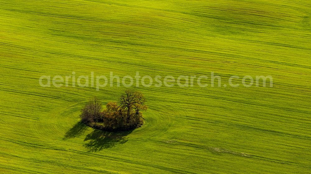 Penzlin OT Marihn from above - Autumn landscape with meadows and fields in the district Marihn in Penzlin in Mecklenburg-Western Pomerania