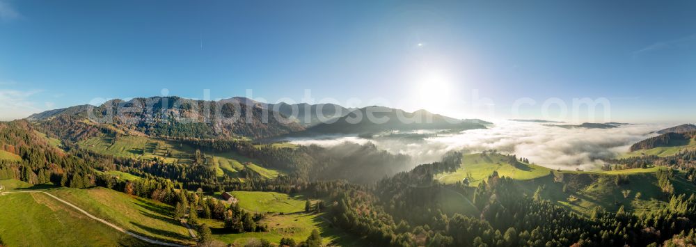 Oberstaufen from the bird's eye view: Autumnal colored vegetation view from the mountains of the Naglflugkette at Huendle in the Allgaeu in Oberstaufen in the state of Bavaria, Germany