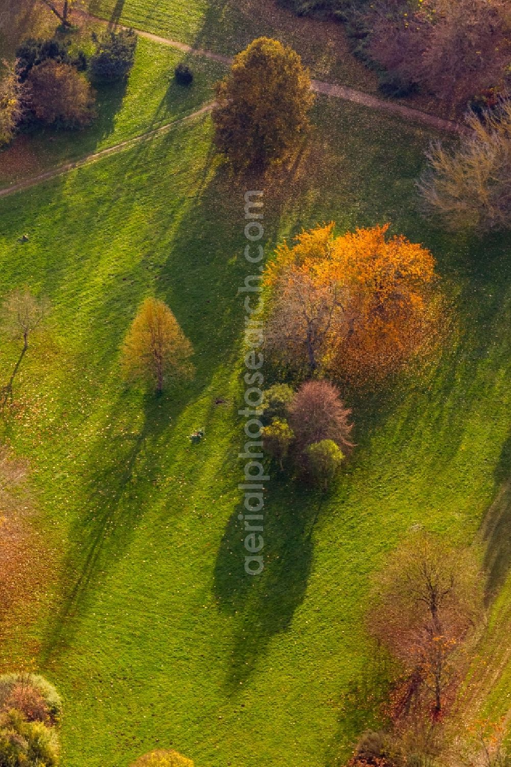 Teterow from the bird's eye view: View of autumn foliage in the city park of Teterow in the state Mecklenburg-West Pomerania