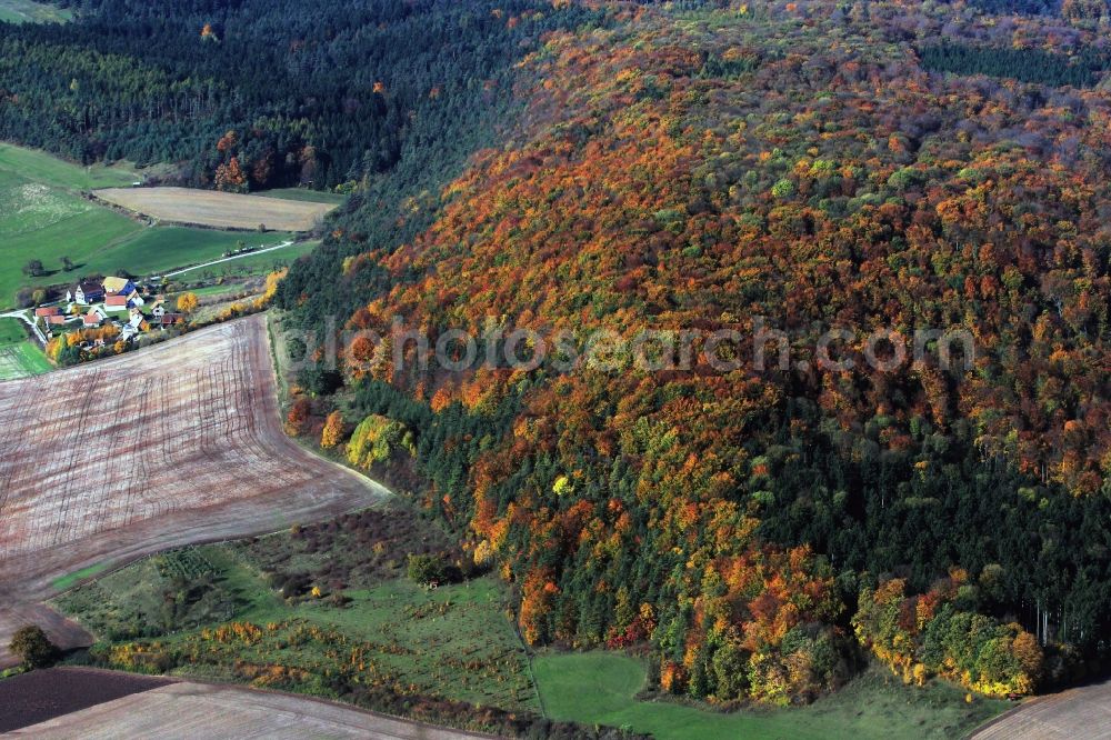 Hohenfelden from above - Autumnally colored broadleaf forest near the open-air museum Hohenfelden in Thuringia