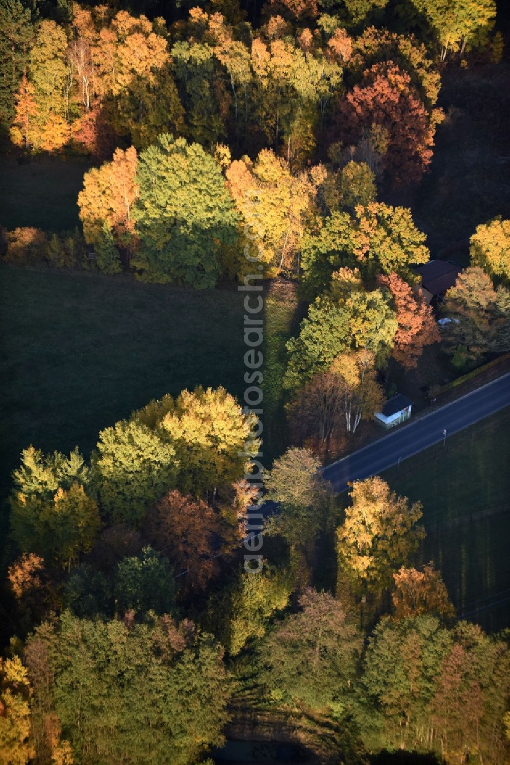 Aerial photograph Heidesee - Autumnally brightly colored treetops in a forest area in Heidesee in the state Brandenburg