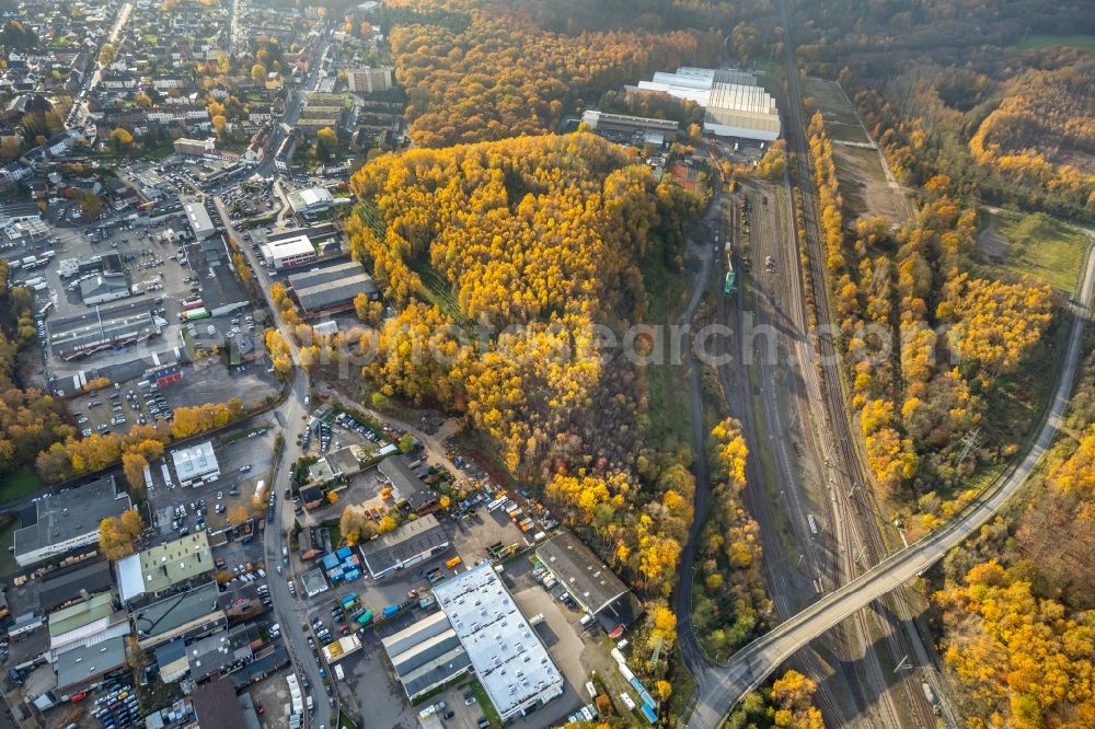 Aerial photograph Stolberg (Rheinland) - Autumnally brightly colored treetops in a forest area in Stolberg (Rheinland) in the state North Rhine-Westphalia, Germany