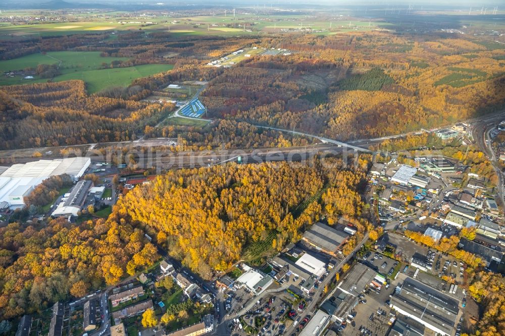 Aerial photograph Stolberg (Rheinland) - Autumnally brightly colored treetops in a forest area in Stolberg (Rheinland) in the state North Rhine-Westphalia, Germany