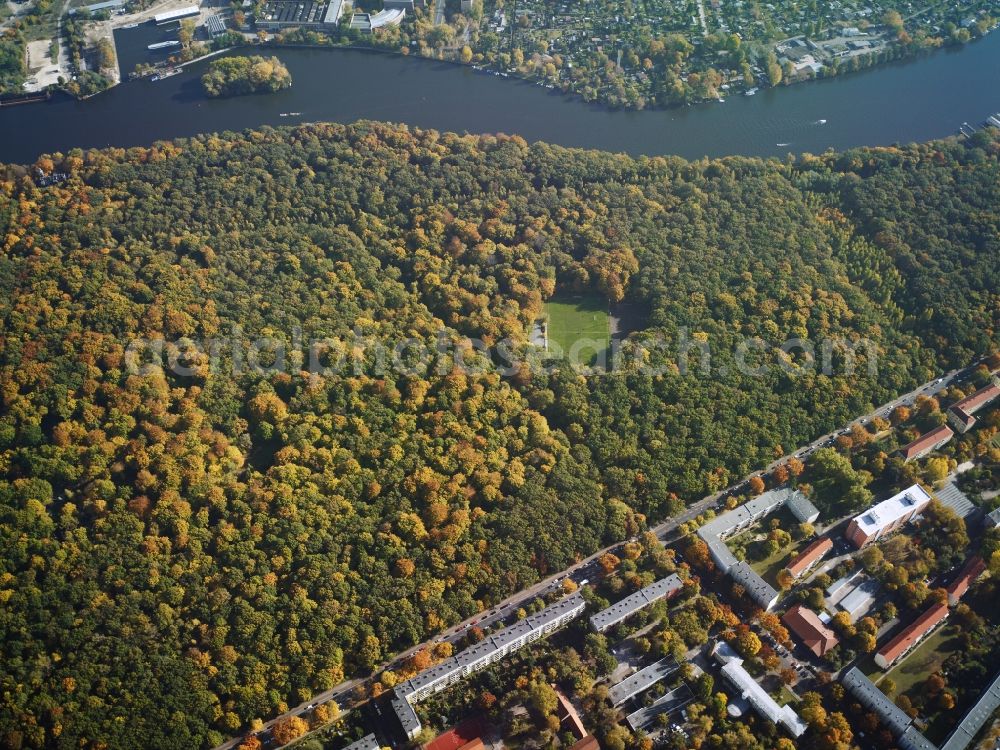 Berlin from the bird's eye view: Autumnally brightly colored treetops in the forest area Plaenterwald in Berlin