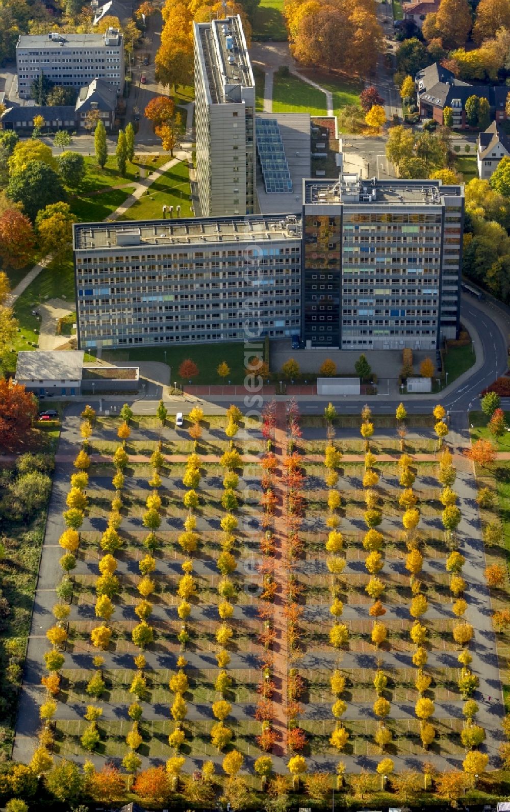 Aerial image Hamm - Colorful autumn tree rows in the parking lot in front of the Court of Hamm in North Rhine-Westphalia