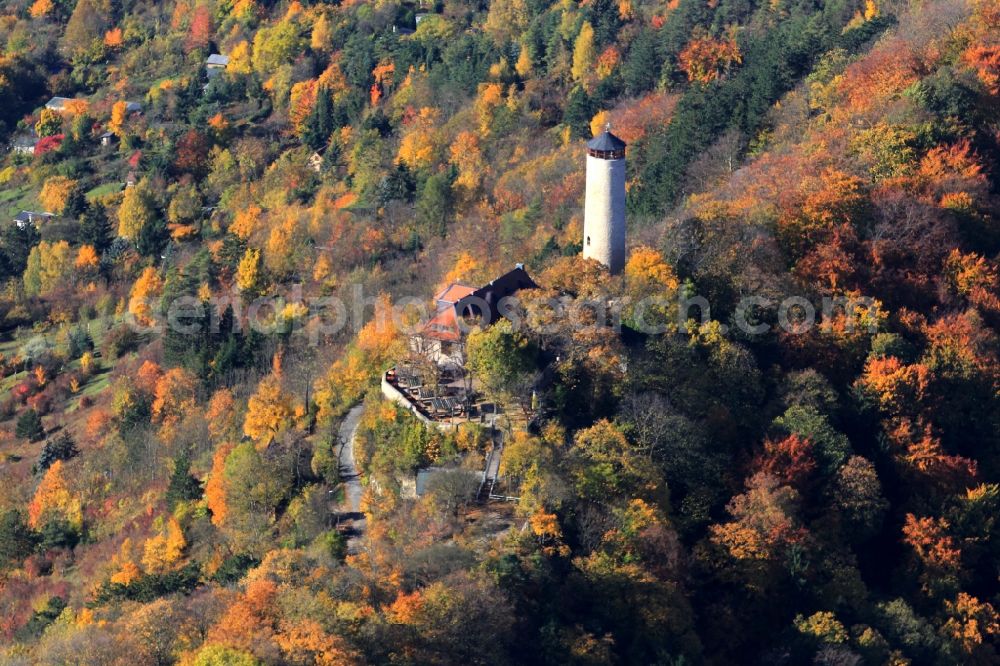 Aerial photograph Jena - Autumn colored forest to the destination Fuchsturm on the core near Jena in Thuringia